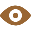 Vision icon