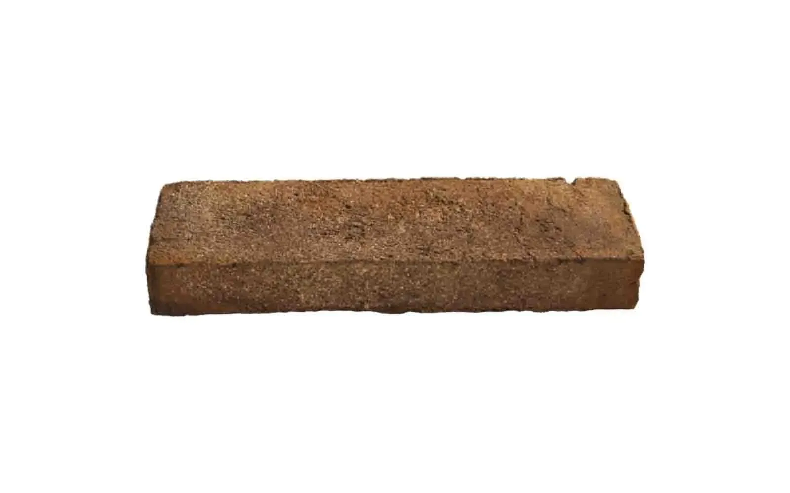 Forest Brown