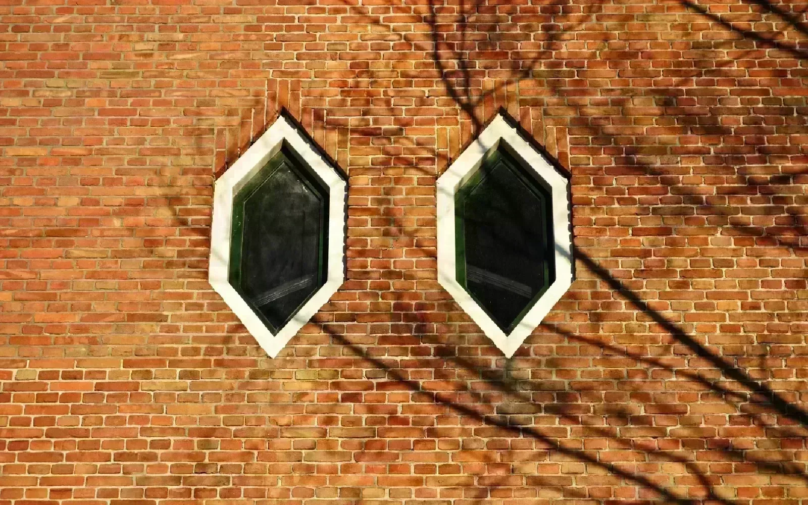 Door and wall cladding